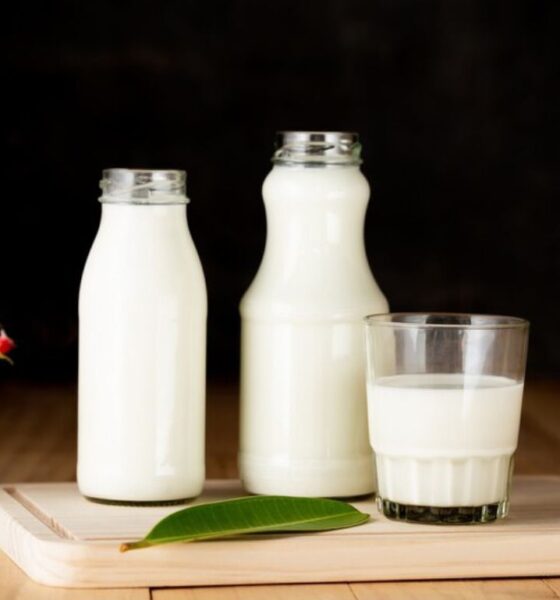 WellHealthOrganic Buffalo Milk tag: Huffpost.Top