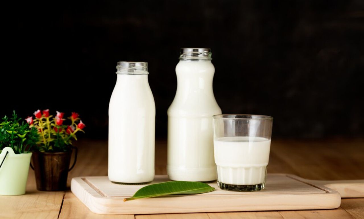 WellHealthOrganic Buffalo Milk tag: Huffpost.Top